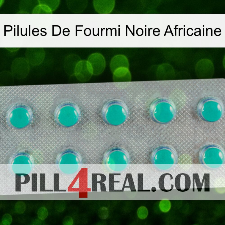 African Black Ant Pills 28